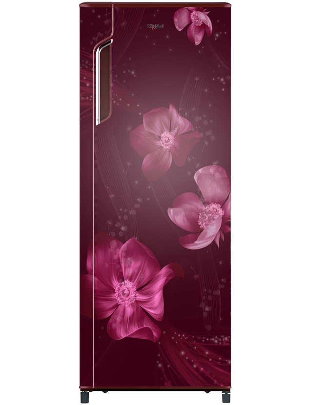 Single Door Refrigerator